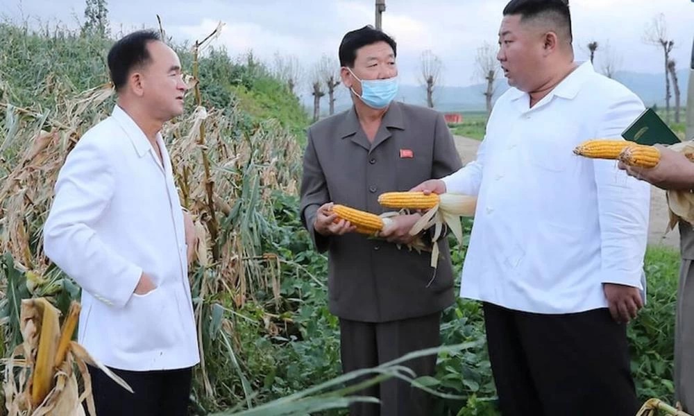 Είναι τόσο καλά ο Κιμ Γιονγκ Ουν που βγήκε να μαζέψει καλαμπόκια!